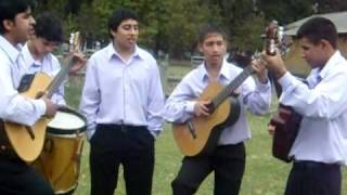 Video thumbnail of "arte2010 241.avi"