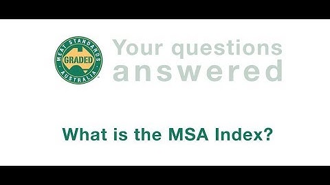 MyMSA Series FAQ: The MSA Index