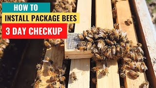 How To Install Package Bees   3 Day Checkup