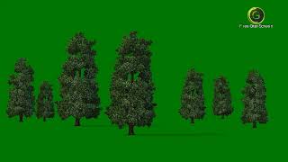 Tree Green Screen Hd