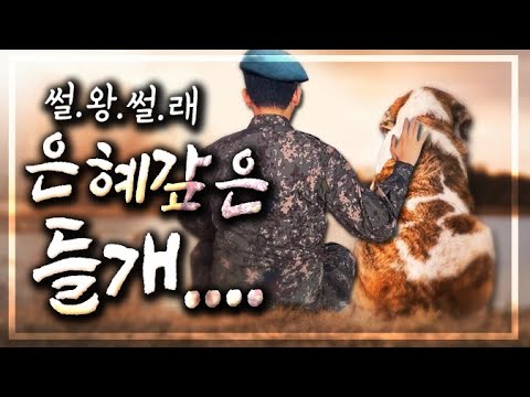 군대에서 은혜 갚은 <strong>들개</strong> | 썰왕썰래
