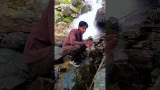 #song #cricket #pakistan #india #nature #lifeisbutadream #viral #cricketlover #uk #viralvideo #video