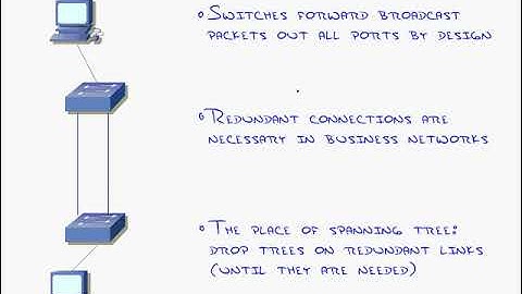 08 Switch STP Understanding the Spanning Tree Protocol