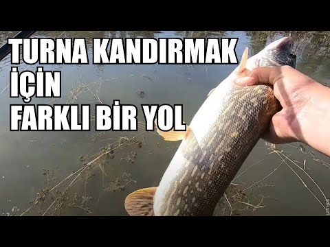 Bu Yöntem ile Turna Kandırmak Çok Kolay Balık Avı, Turna Avı #26