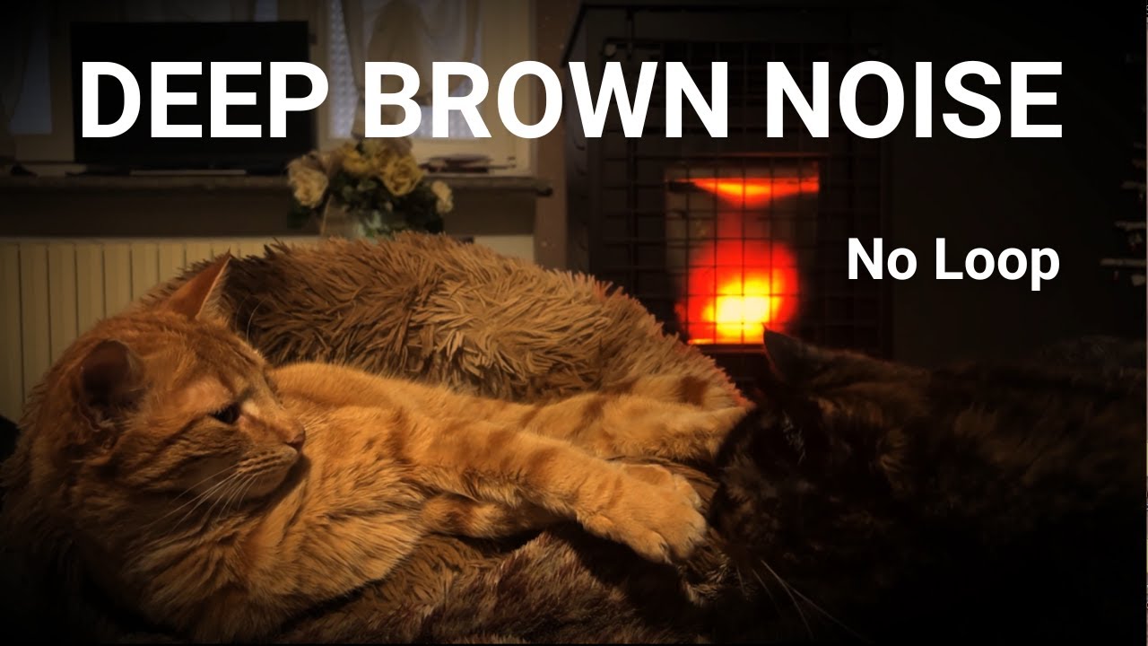 Deep SLEEP Relief: PELLET STOVE Brown Noise (Real Rumble)