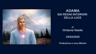 screenshot of the youtube video