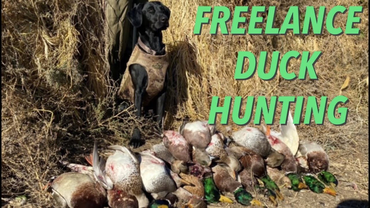 North Dakota Duck Hunt 2021 WE POUNDED THEM! YouTube