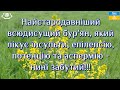 Найстародавніший всюдисущий бур&#39;ян, який лікує інсульти епілепсію, потенцію та аспермію нині забутий