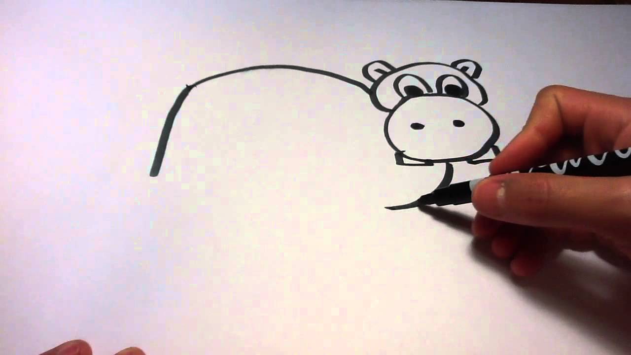 Dessiner un hippopotame Dessin  de cartoon YouTube