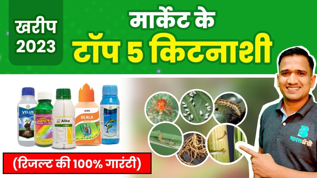 best kitnashak top insecticide 5 सबसे बेस्ट कीटनाशक YouTube