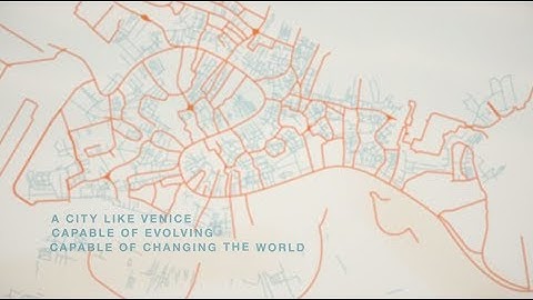 The Human Safety Net