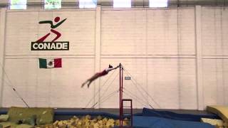 Age Group Programme Womens Artistic Uneven Bars - High Performance Compulsory 3