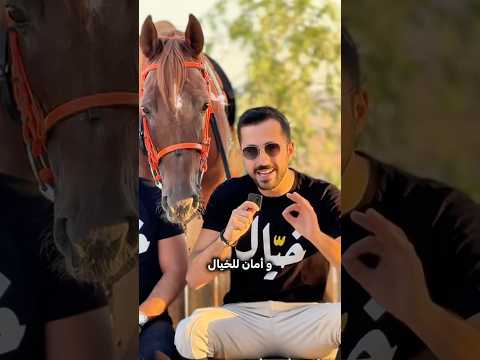 أشياء لازم تتأكد منها قبل ما تطلع على اي حصان خيل  