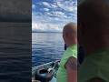 Дельфины в море ! Удачный день! #дельфин #шортс #море #работа 바다에서의 좋은 하루 A good day at sea!