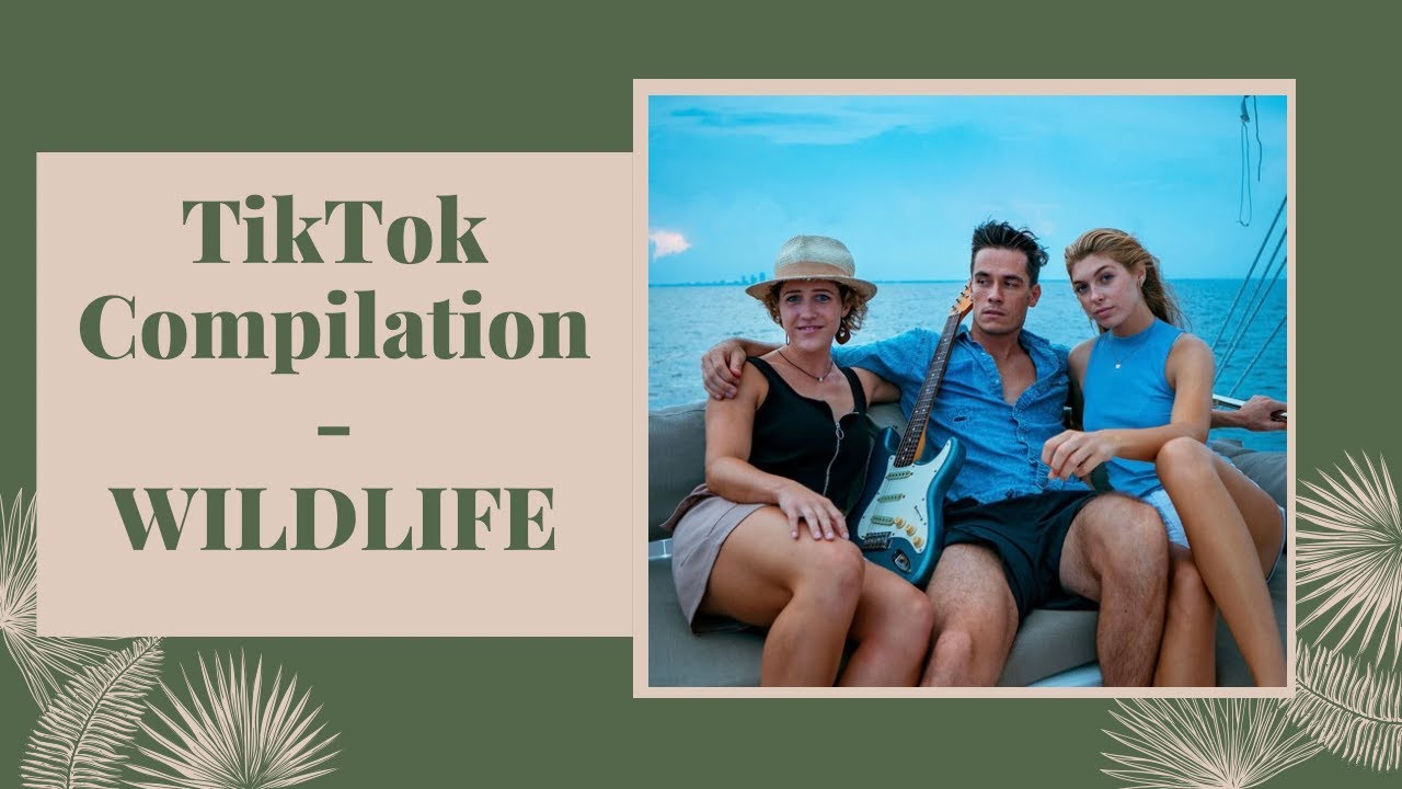 TikTok Compilation: Wildlife