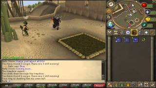 Runescape Corgi Locations - Tuck