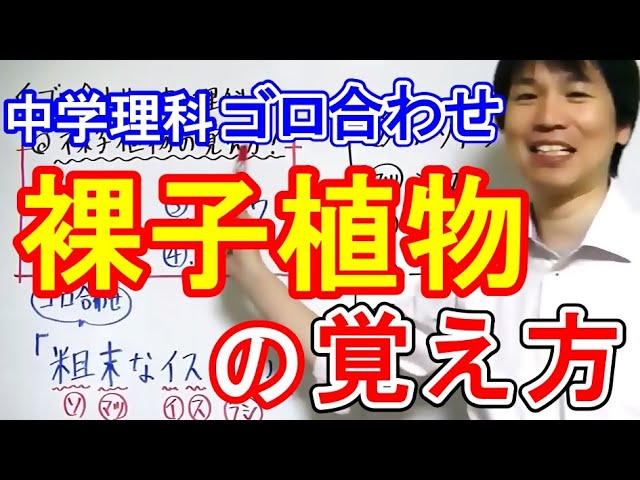 中学理科 ゴロ合わせ 裸子植物の覚え方 Youtube