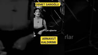 Demet Sarioğlu - Arnavut Kaldirimi Resimi