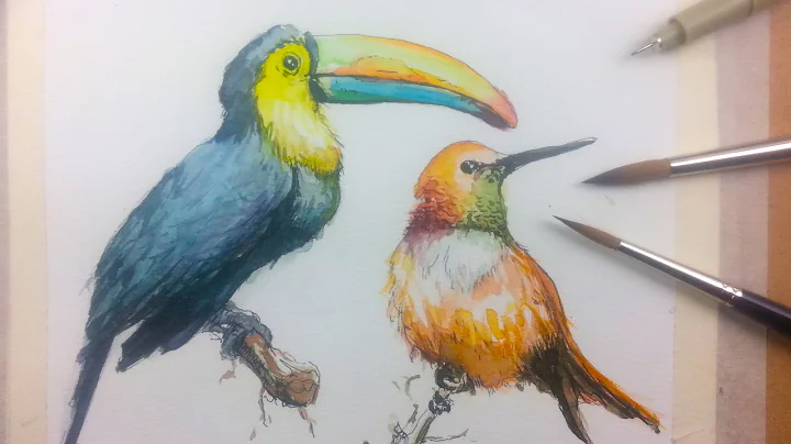 How to Draw & Paint Birds with Ink and Watercolor Part 1
