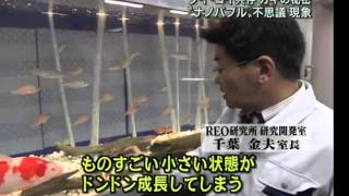 Nanobubble Water from Japan