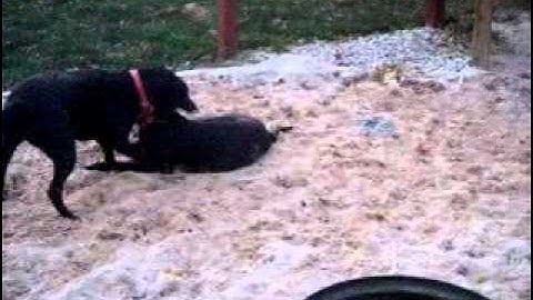 final-MPEG-4 LAN Streaming.mp4