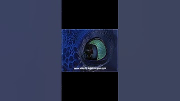 • 𝐓𝐨𝐨𝐭𝐡𝐥𝐞𝐬𝐬 & 𝐙𝐞𝐩𝐡𝐲𝐫 •