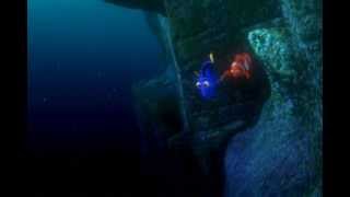 Nemo Une Promenade En Mer Canadian French