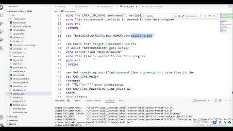Apache Tomcat 系统精讲 Java面试必备课程（已完结）