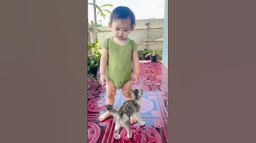 Thumbnail of kmu nakal jgn kemana2 😂 #kucing #kucinglucu #shorts #shortvideo #feedshorts