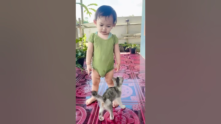 kmu nakal jgn kemana2 😂 #kucing #kucinglucu #shorts #shortvideo #feedshorts