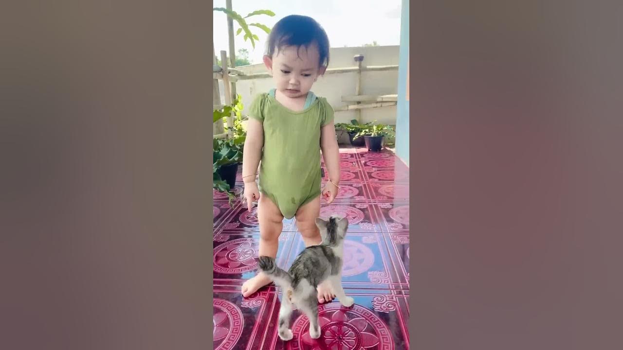 kmu nakal jgn kemana2 😂 #kucing #kucinglucu #shorts #shortvideo #feedshorts