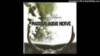 M.A.N.- Young Insect