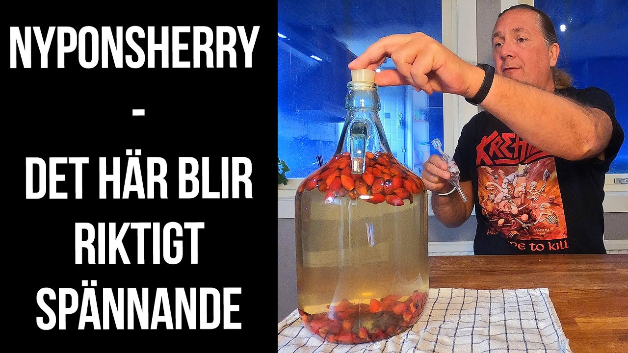 Nyponsherry på egenplockade nypon