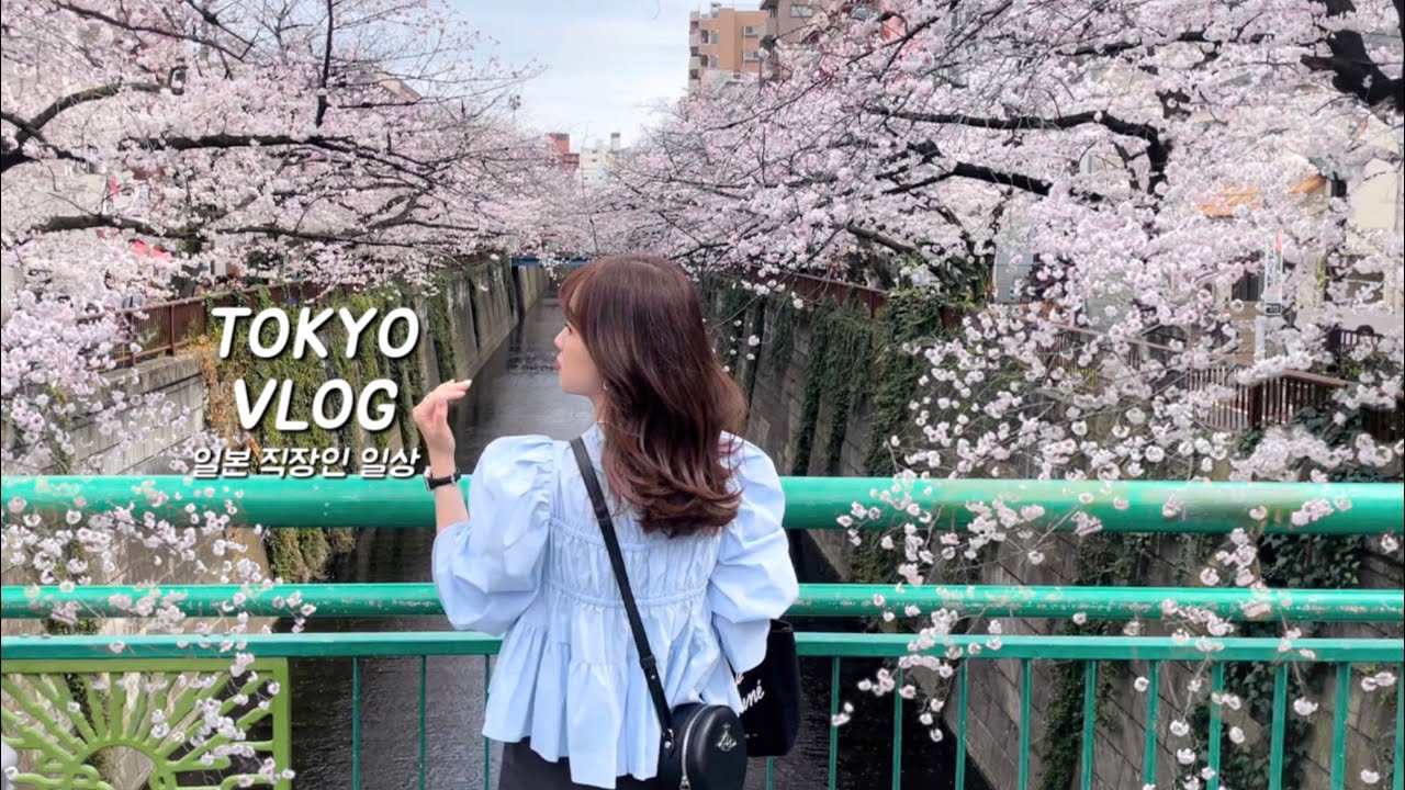 일본 브이로그 | 도쿄 직장인 일상. 나카메구로 벚꽃놀이. 시부야 몬쟈야키 맛집 쿠우야 (백신 3차 접종, 투움바파스타, 메구로강, 카페키츠네, Side Walk Stand)