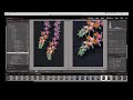 Twenty Tips for Working with Lightroom Classic