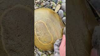 Unpolished Gem: The Beauty of Imperfect Stones