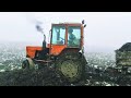 Трактор Т 25  застрял с прицепом навоза l Tractor T 25 stuck with manure trailer