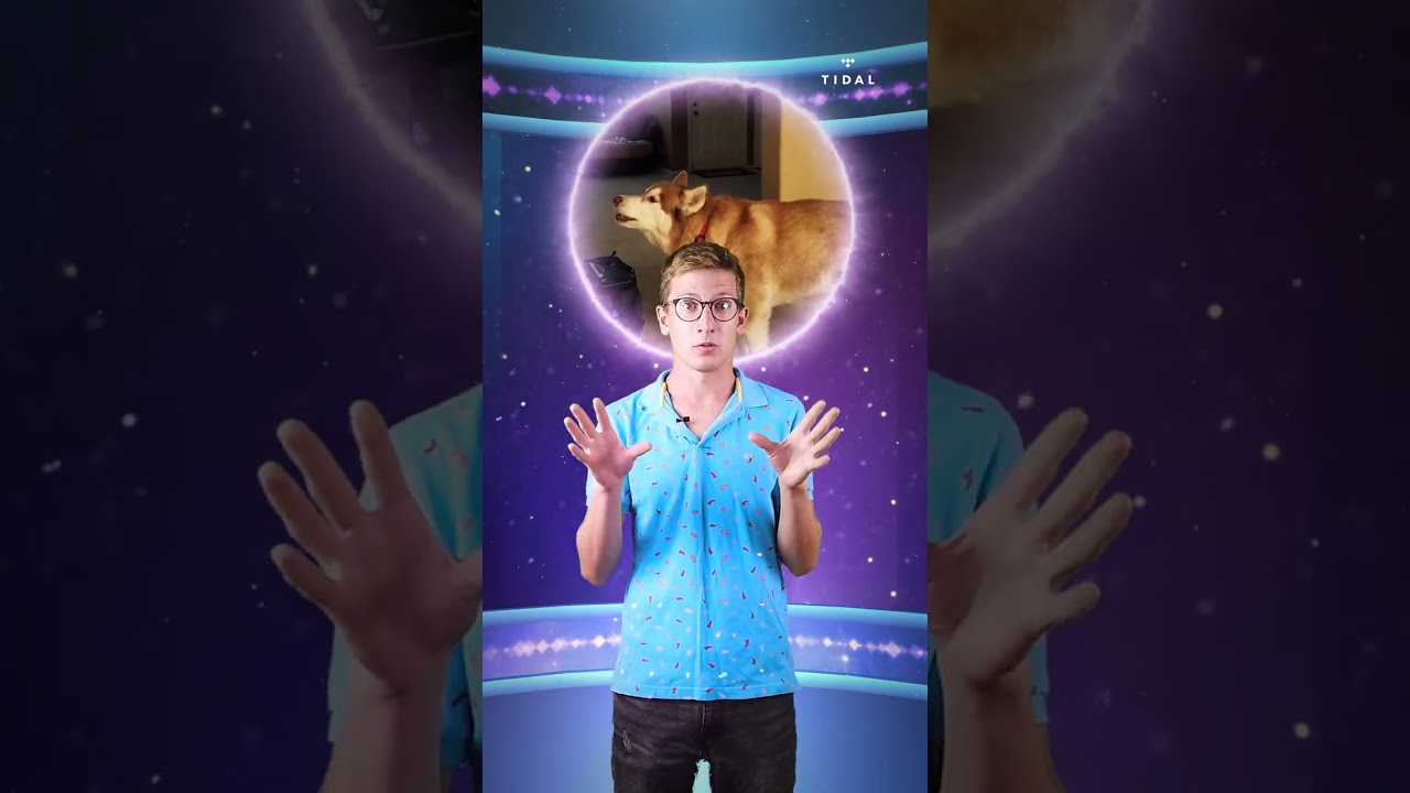 Short Video Example 1