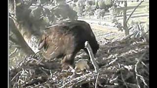 Delta2 June22 Ma brings Jet a teddy bear.wmv