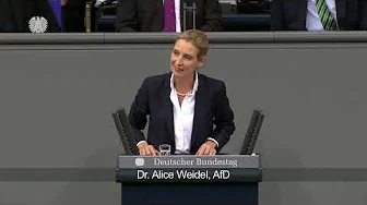 ERSTE REDE IM BUNDESTAG Dr. Alice Weidel (AfD): „Rechtsbrüche müssen aufhören!“ – Gegröle im BT