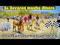 LA GRAN CARRERA DE PUROS BURROS, estos jinetes son unos niños y ya SON MONTADORES PROFESIONALES