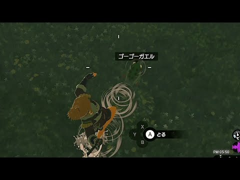 【ティアキン】依頼を受けて、１回投げたブーメランでカエルが消滅する現象を調べてみた【ドリカラ】【ゼルダの伝説ティアーズオブザキングダム,TotK,ゼル伝,字幕実況】