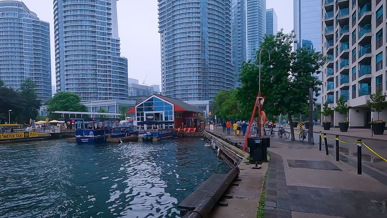 Harbourfront in drizzle rain, early July, Toronto Downtown Walk POV 4K - YouTube