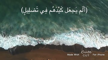 | الم ترا كيف فعل ربك بأصحاب الفيل | تلاوة جميله جداً | اذكروا الله