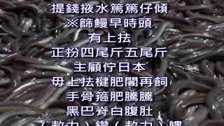 台語文采風唸寫謠~飼鰻成本粗