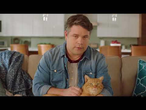 Bob & Mews: A Sweet Reunion - Bob & Mews: A Sweet Reunion