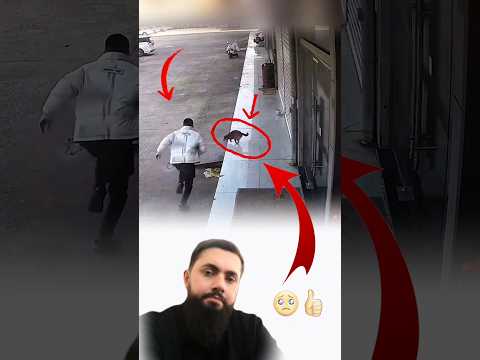 من أراد أن يؤذي مخلوقا ضعيفا ستعلمه عدالة الله درسا لا ي نسى لايك اكسبلور   