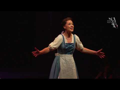 Disney's Beauty And The Beast
