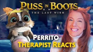 The Power and Pitfalls of Positivity: Lessons from Perrito in Puss in Boots