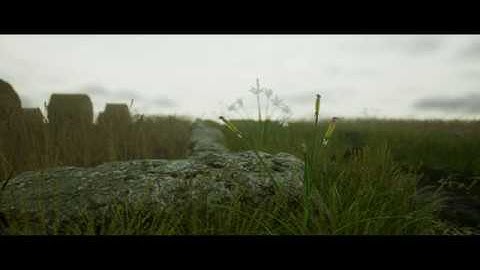 Unreal Engine 4 Fields- short presentation + overview